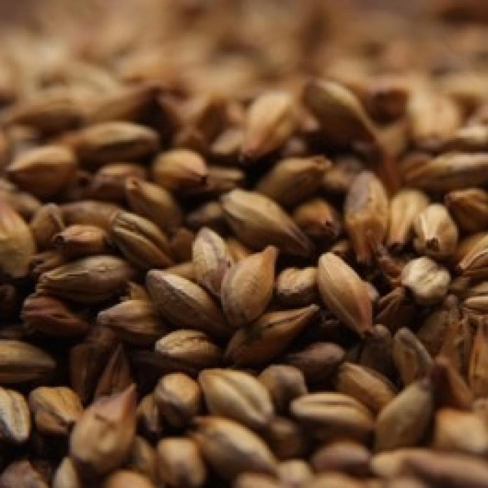 Castle Malting Chateau Special B - 1 LB, Uncrushed