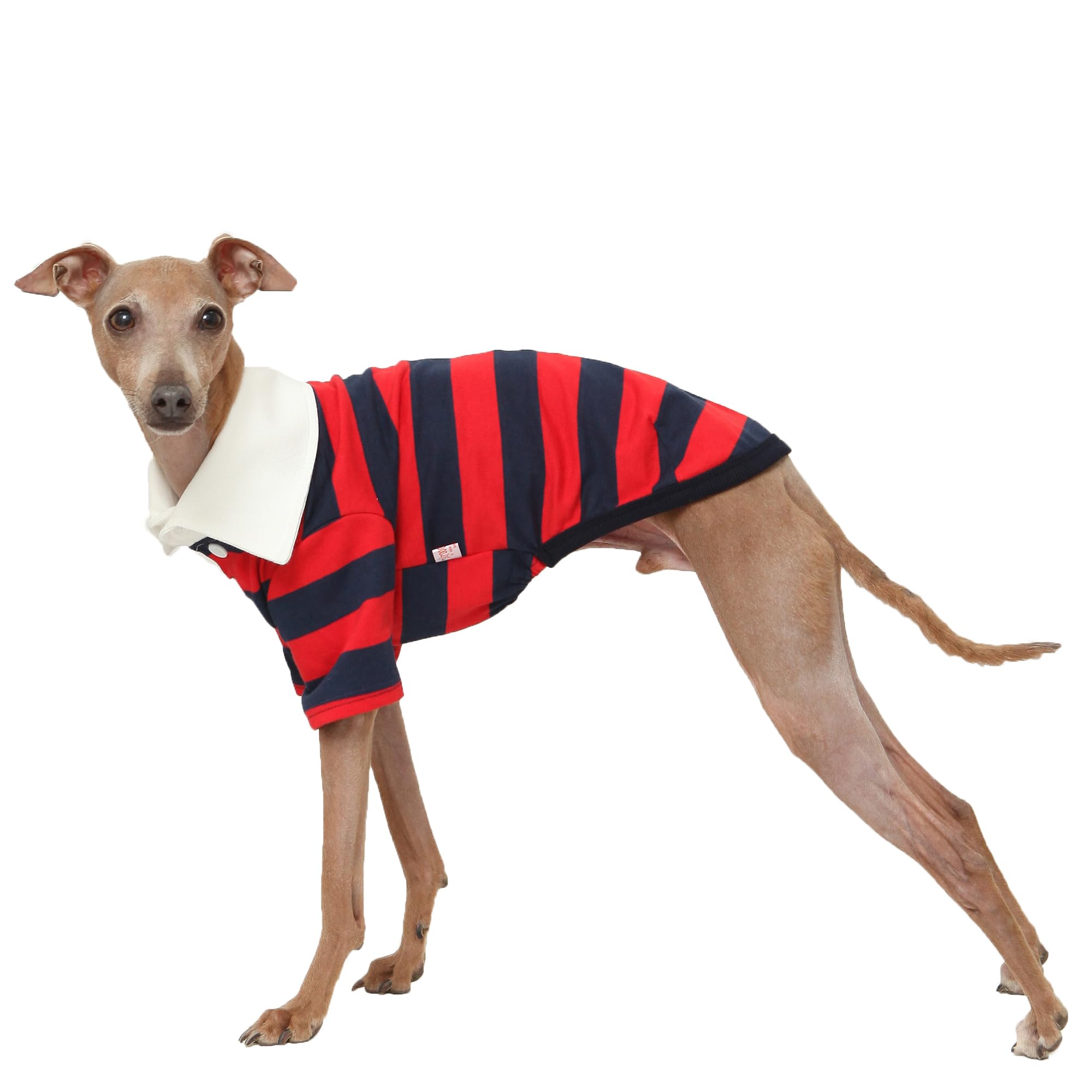 D Doggy Star Italian Greyhound Clothes Cotton Rugby Collar T Shirt Slim Fit Striped Dog Apparel Fits Up to Small Whippets Spring Early Summer Fall (3XL, Rugby Red) — image 1