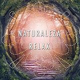2015 Deep Sleeping Music International