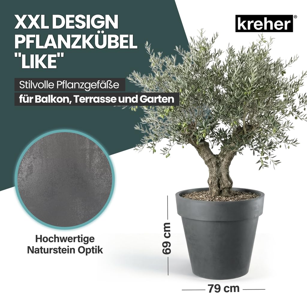 mini blumenkasten GELI Mini-Blumenkasten Olivera 25 cm Jardiniere 2,49€