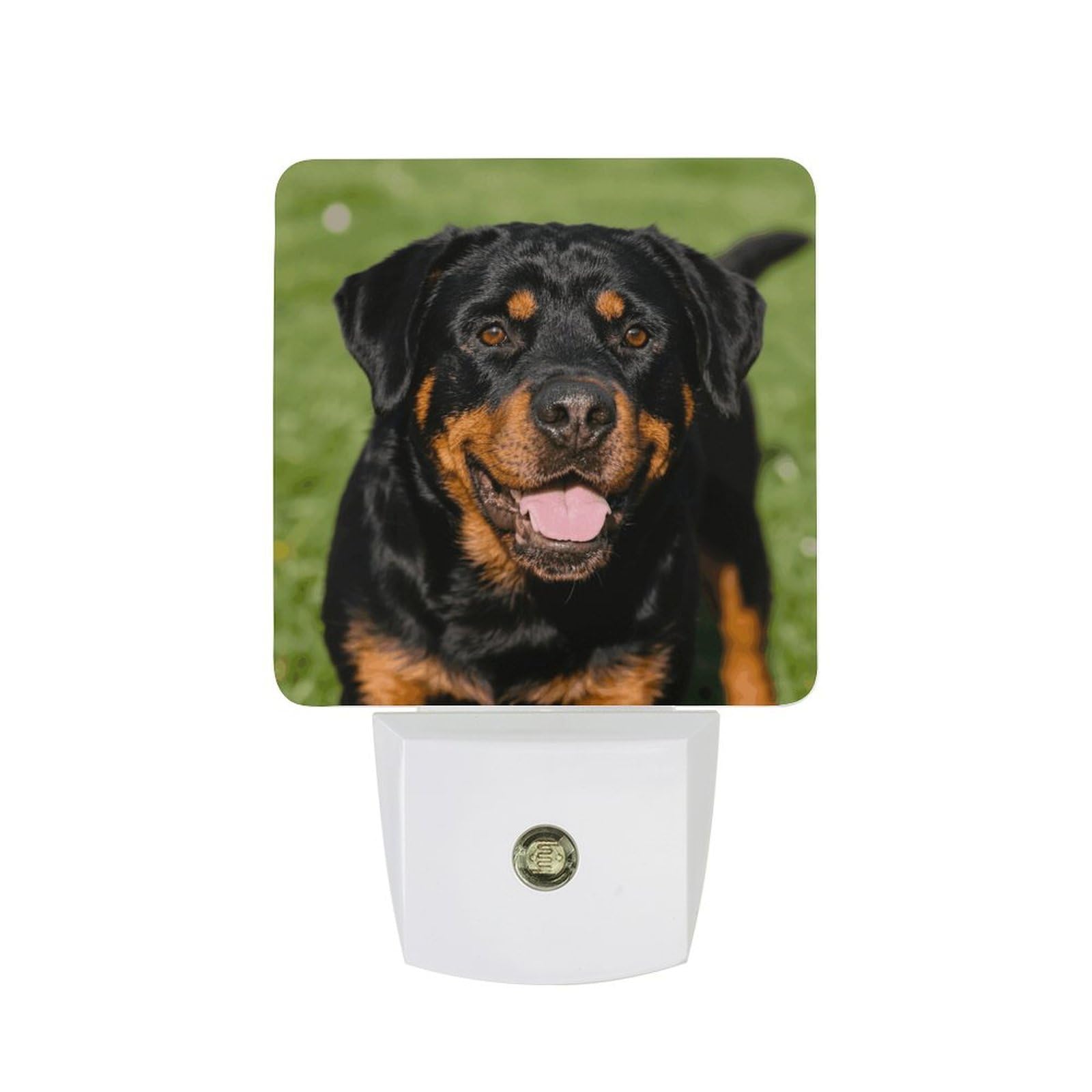 FodPand Night Light Plug Into Wall with Dusk to Dawn Sensor 0.5w Modern LED Rottweiler Plug in Night Lamp Warm White Glow Nightlight for Bedroom Hallway Kitchen Bathroom Stairs Corridor