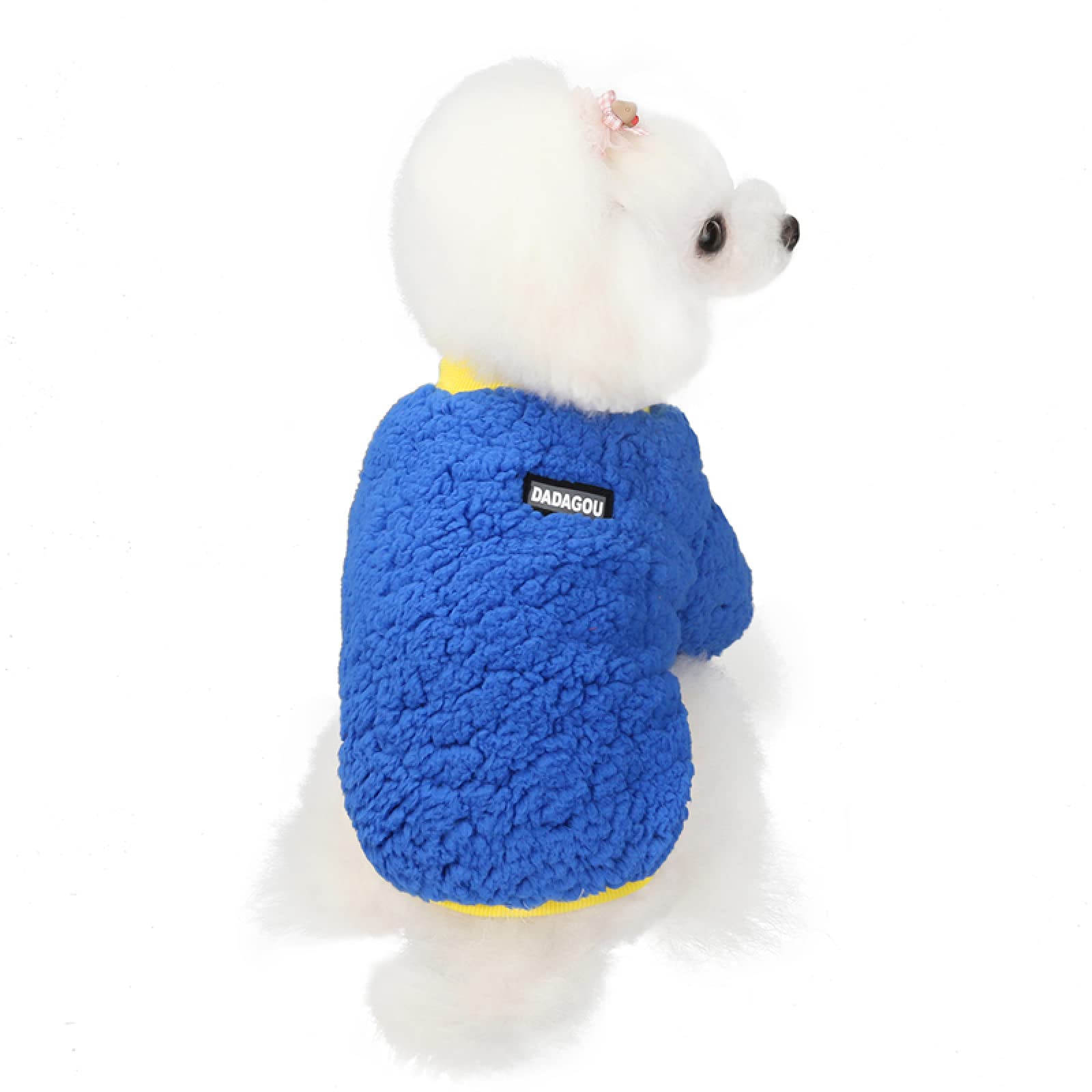 Manteau d'hiver pour chat et petit chien isolant en candy fleece bleu
