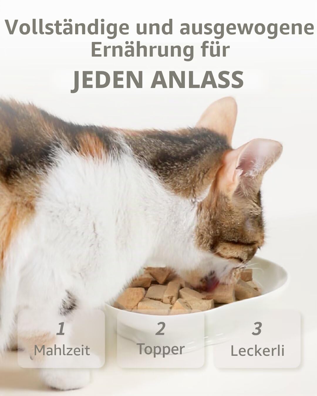 gefriergetrocknetes Katzenfutter, 97% tierischen Ursprungs, weiches trockenes rohes Katzenfutter, Katzenleckerli und Toppings (400g, Geflügel)