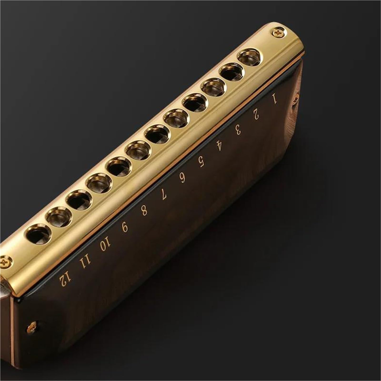 Armonica Armonica Cromatica A 12/16 Fori Strumento Musicale Professionale Di Qualità Per Le Prestazioni, Fisarmonica(12 Hole)