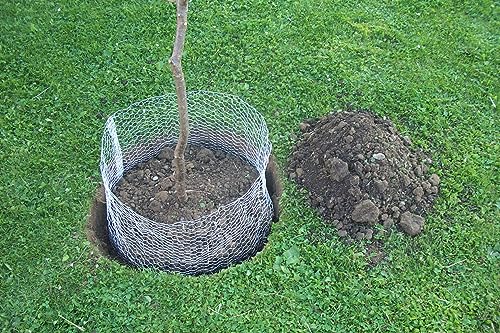 Kerbl Wühlmauskorb ø 60 cm (Höhe 70 cm, Schutzkorb gegen Wurzelverbiss, dünnes Sechskantdrahtgeflecht 0,6 mm Drahtstärke, 16 mm Maschenweite) 291172