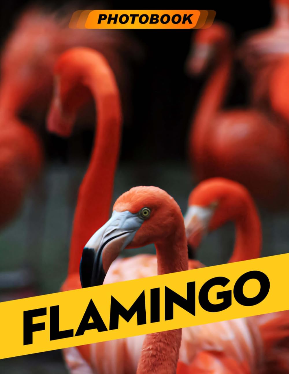 Flamingo Photo Book: Elegant Bird Photography Featuring Graceful Pink Flamingos In Tropical Wetland Settings For Serene Decor And Nature Enthusiasts