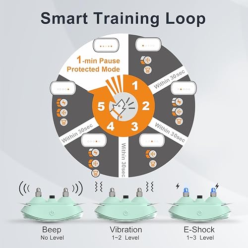 Miniatura 3 de Collar de perro antiladridos automático inteligente inteligente impermeable recargable Terminador de ladridos (collar de corteza verde)