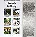 French Bulldogs (Comprehensive Owner's Guide)