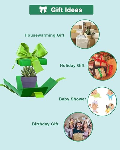 Miniatura 5 de vensovo 48 macetas pequeñas de terracota morada, pequeñas macetas de arcilla de 2 pulgadas con agujeros de drenaje, macetas de terracota para