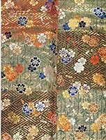 Patterns and Poetry: No Robes from the Lucy Truman Aldrich Collection at the Museum of Art, Rhode Island School of Design B00K8GIRHE Book Cover