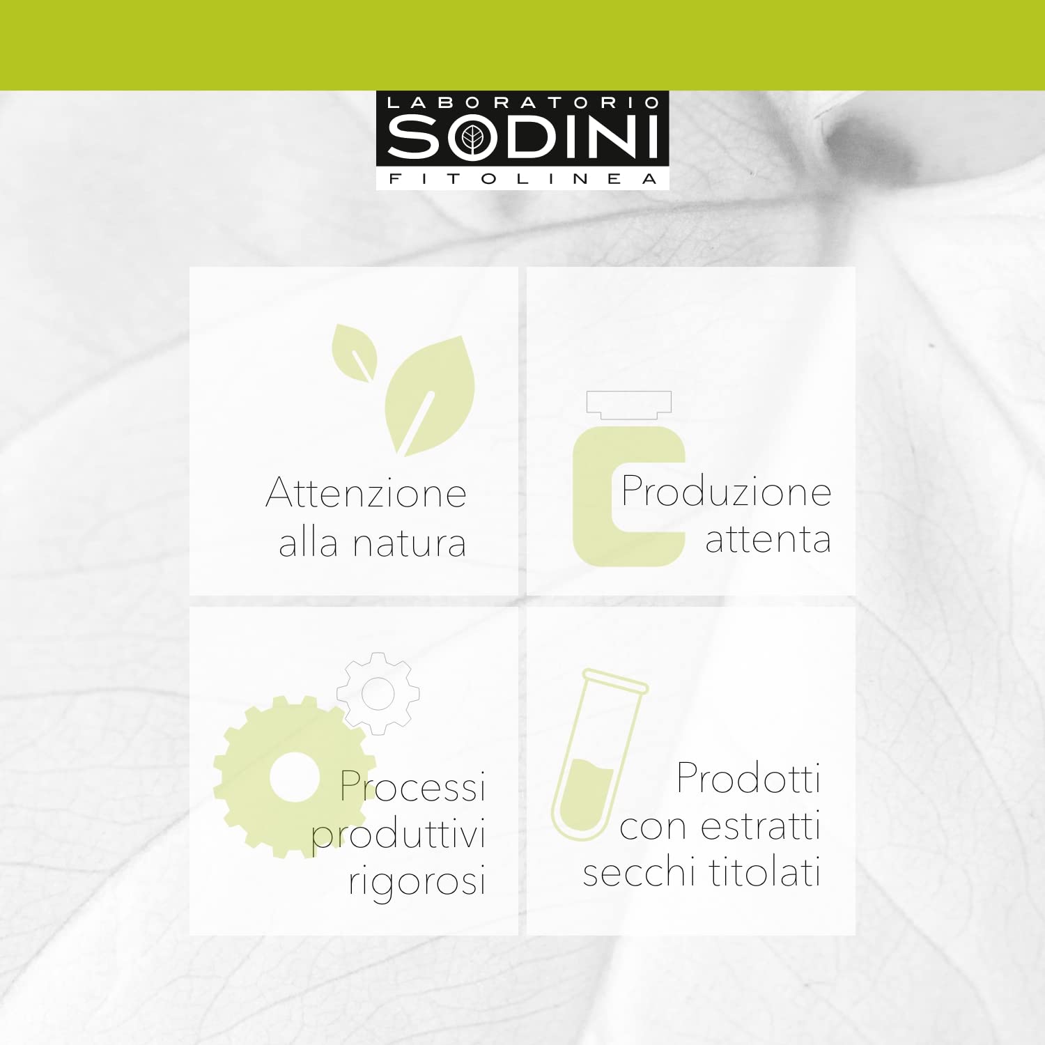 Uricys - Integratore Alimentare - con Uva Ursina, Bucco, Mirtillo Rosso e Betulla - per il Benessere delle Vie Urinarie - 70 Capsule