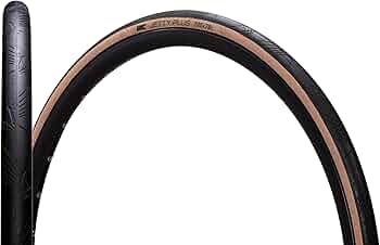 61FWQbgC4wL._AC_UF350,