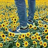 adidas field hockey shoes usa  Gucci Shoes [Explicit]