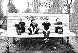 O-55094 The1975 , the 1975 Rock Band Poster - Rare New - Image Print Photo
