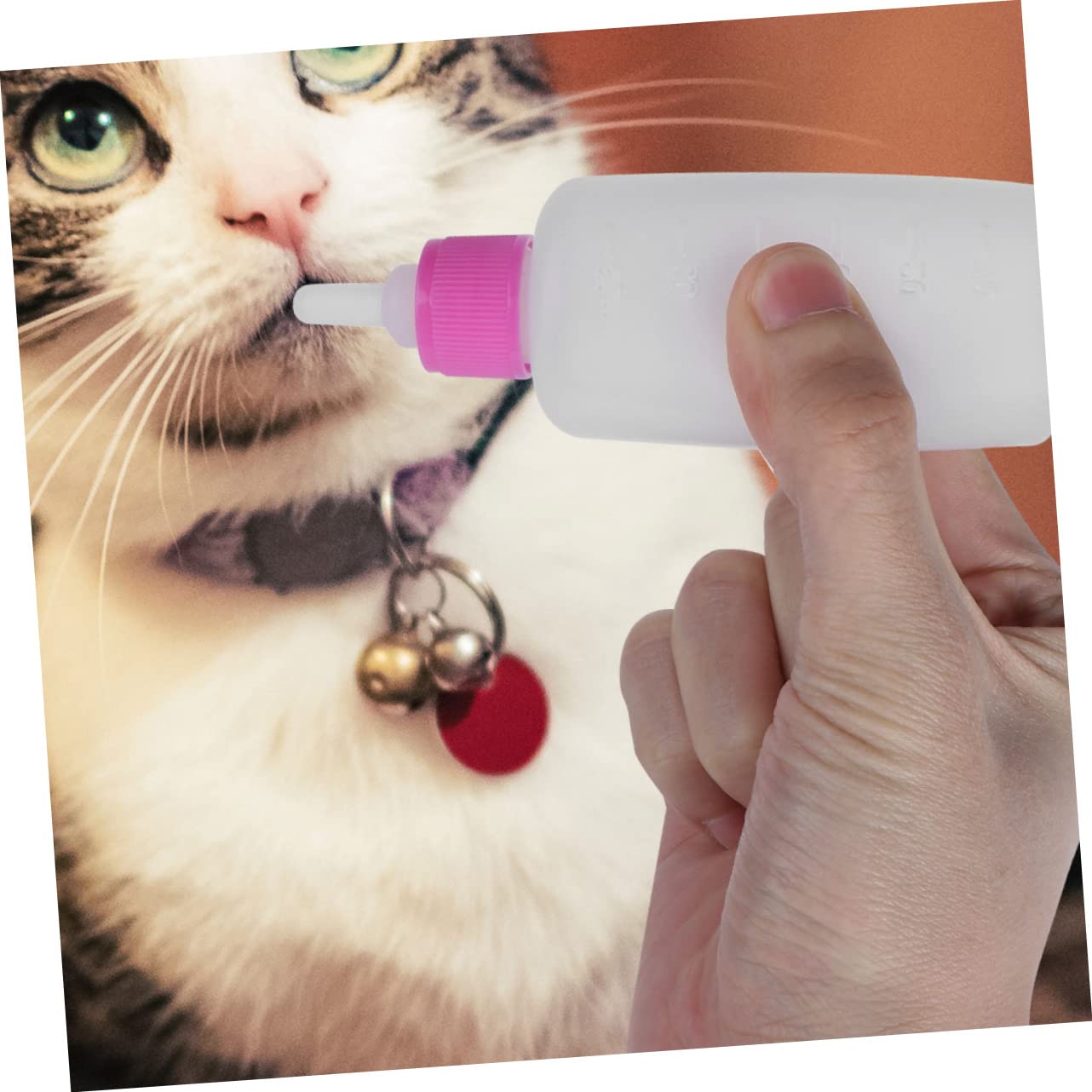 SUPVOX Cat Feeding Bottles Kit 2 Sets of Puppy Milk Feeder Bottle Portable Durable Pet Accessories