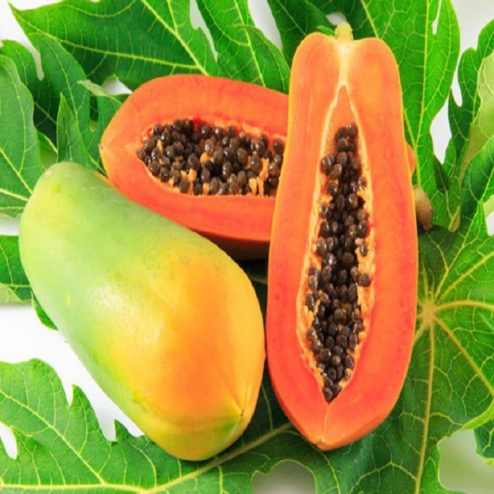 Rare Dwarf Hybrid Papaya Fruit Seeds - 120 Seeeds Per Pack (B0CTTRJW1X) Amazon Price History, Amazon Price Tracker