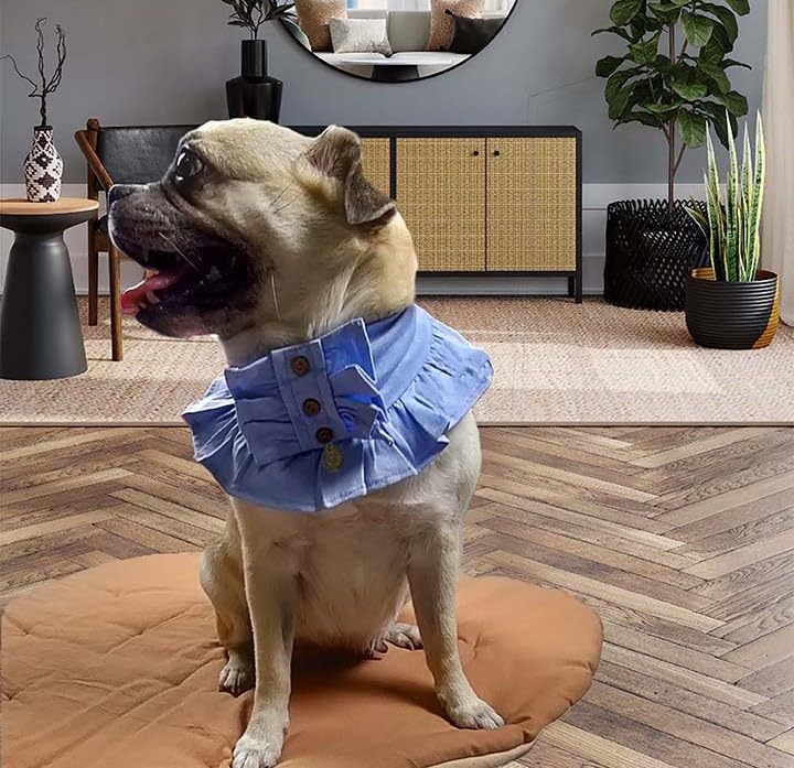 NUEVOS DOGGADIL Cotton Jersey Frilled Pet Bandana | Frill Bib for Dog and Cat| Pet Neck Scarf_ Blue (B0C7ZHQP27) Amazon Price History, Amazon Price Tracker