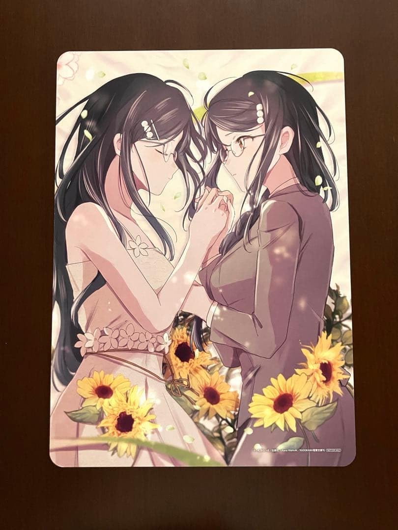 Amazon.co.jp: 春夏秋冬代行者 アニメイト 特典 A4 両面ビジュアル