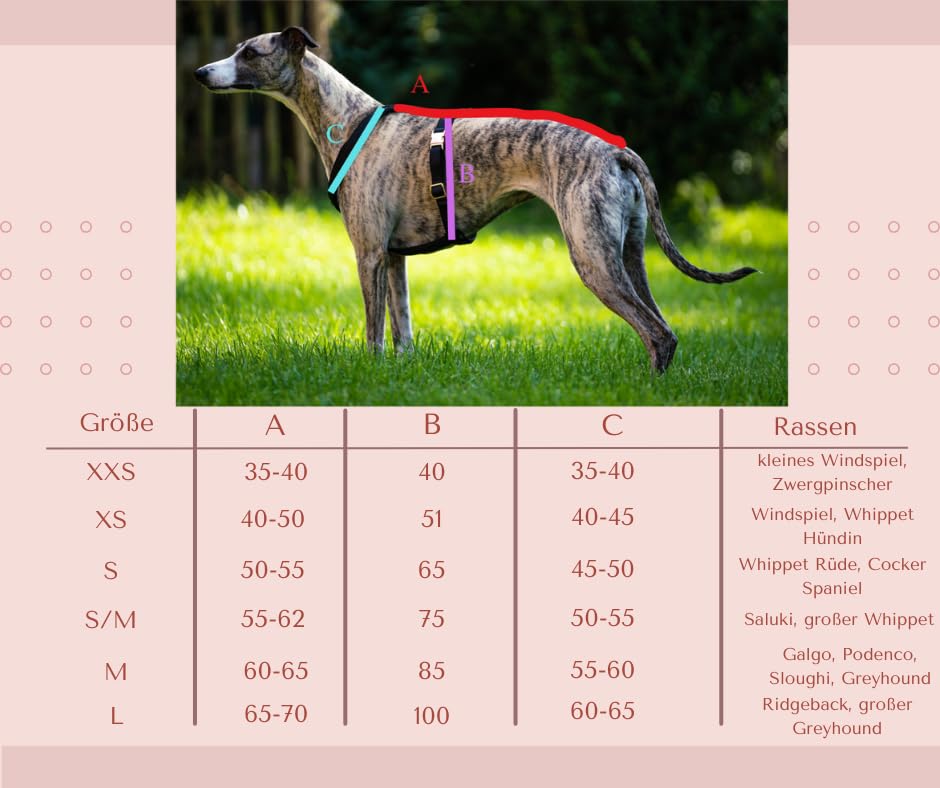 EDEL&SCHNELL Whippet Galgo Greyhound Windhund Hundegeschirr dunkelrot Größe S Geschirr für kleine Hunde aus Samt mit Leine