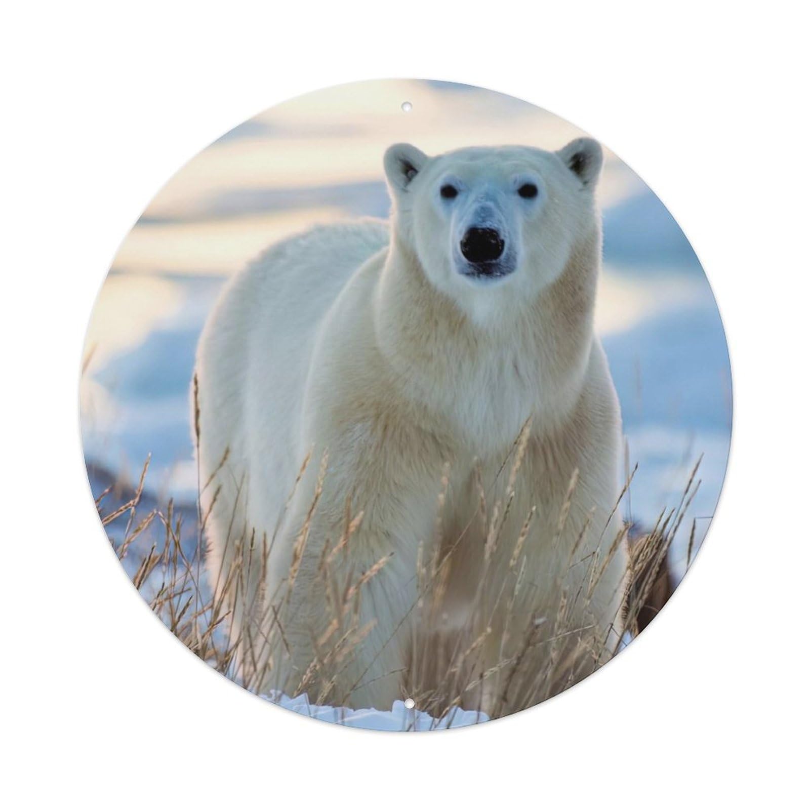 Arctic Animals Polar Bear in The Snow Vintage Metal Tin Sign Plaque Wall Decor for Cafe, Club Bar, Office, Garden Metal Poster 8x8Inch