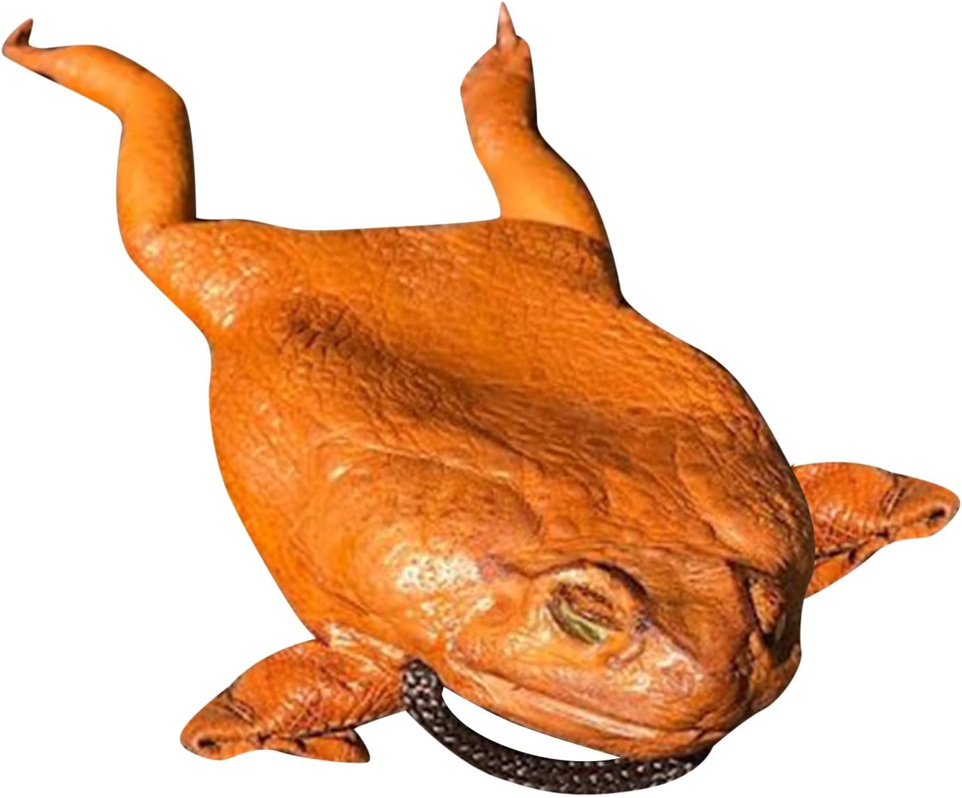 hhsbeautyWomen's coin purse, Animal Purse Sugar Cane Toad Full-Body Purse Novel Animal Shape Design Shoulder Bag Coin Pouch Made From Taxidermy Cane Toad Purse Bag for Girls Teens Women