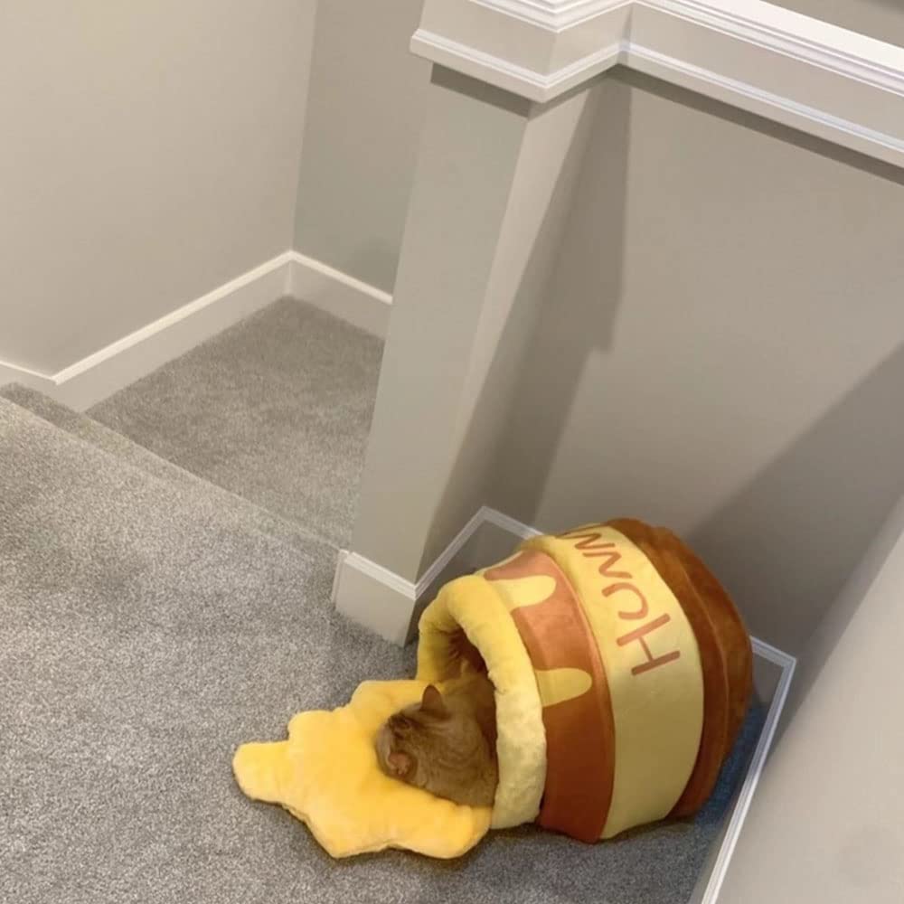 Katzenbett, katzenhöhle, kuschelbett Katzen, Katzen kuschelbett, Katzennest Honigtopf, für kleine Katzen