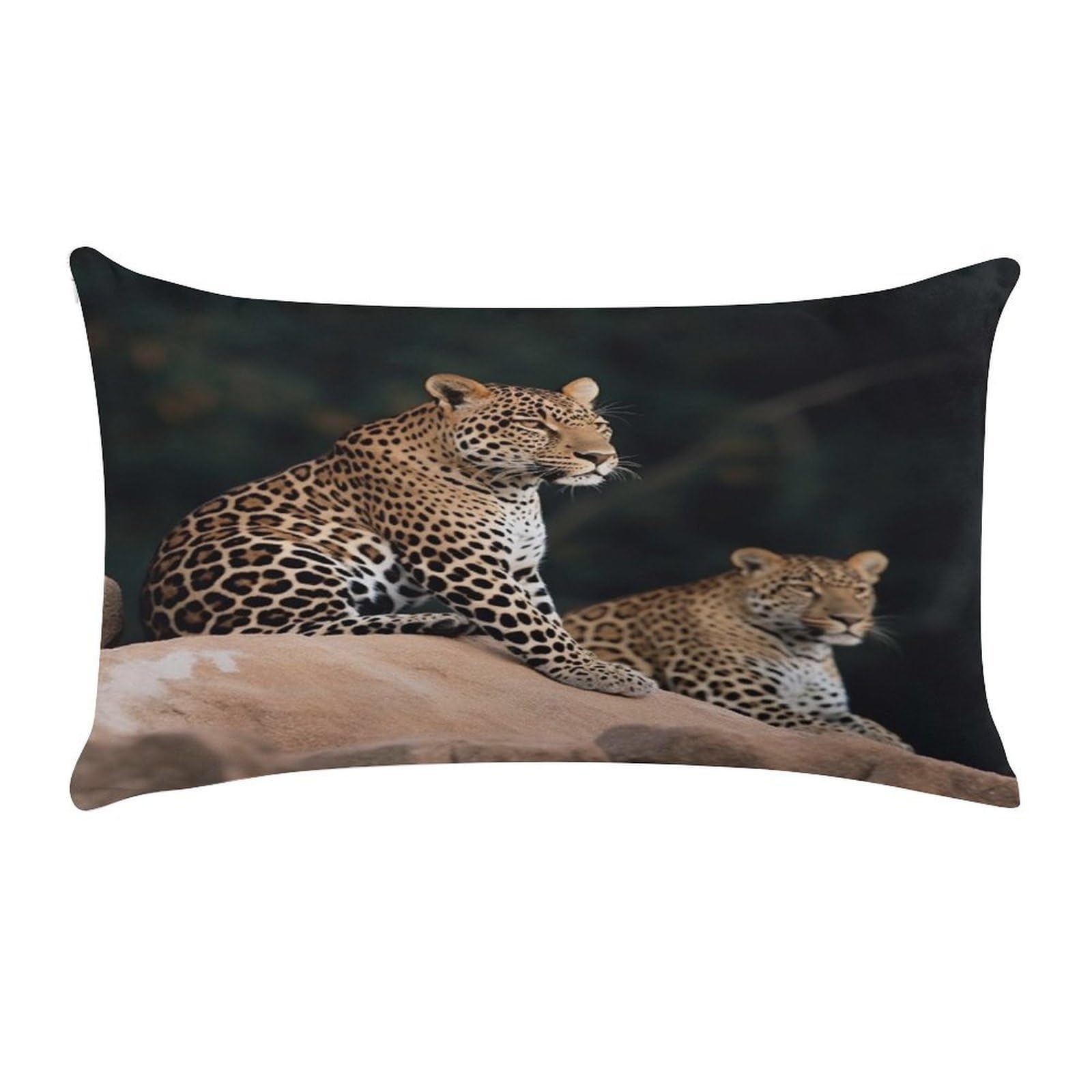 VstaDank African Leopard on Rock Throw Pillow Covers Rectangular Cushion Case Short Plush Pillowcase with Zipper Luxury Cozy Lumbar Pillows Shells Decorative Pillow Shams 12 X 20 Inch