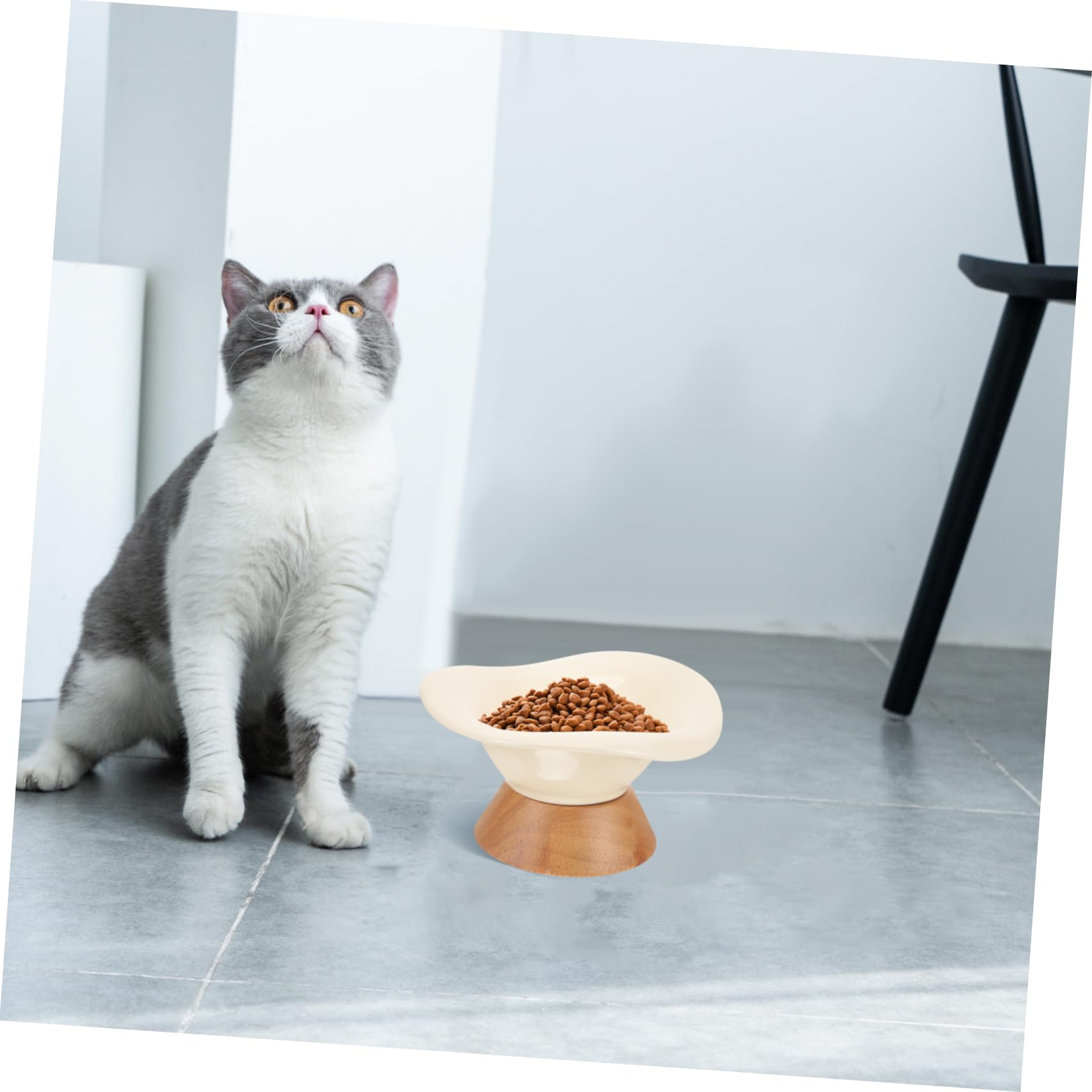 Ciotola per Gatti in Ceramica Piede, Grande Capacità Beige | Bordo Inclinato, Forma Rotonda, Finitura Liscia senza Bave, per Pappa e Acqua di Cani e Gatti