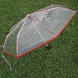 WerFamily Clear Transparent Folding Auto Open/Close Umbrella w Reinforced Steel Ribs (red Rim) Fast ePacket Shipping