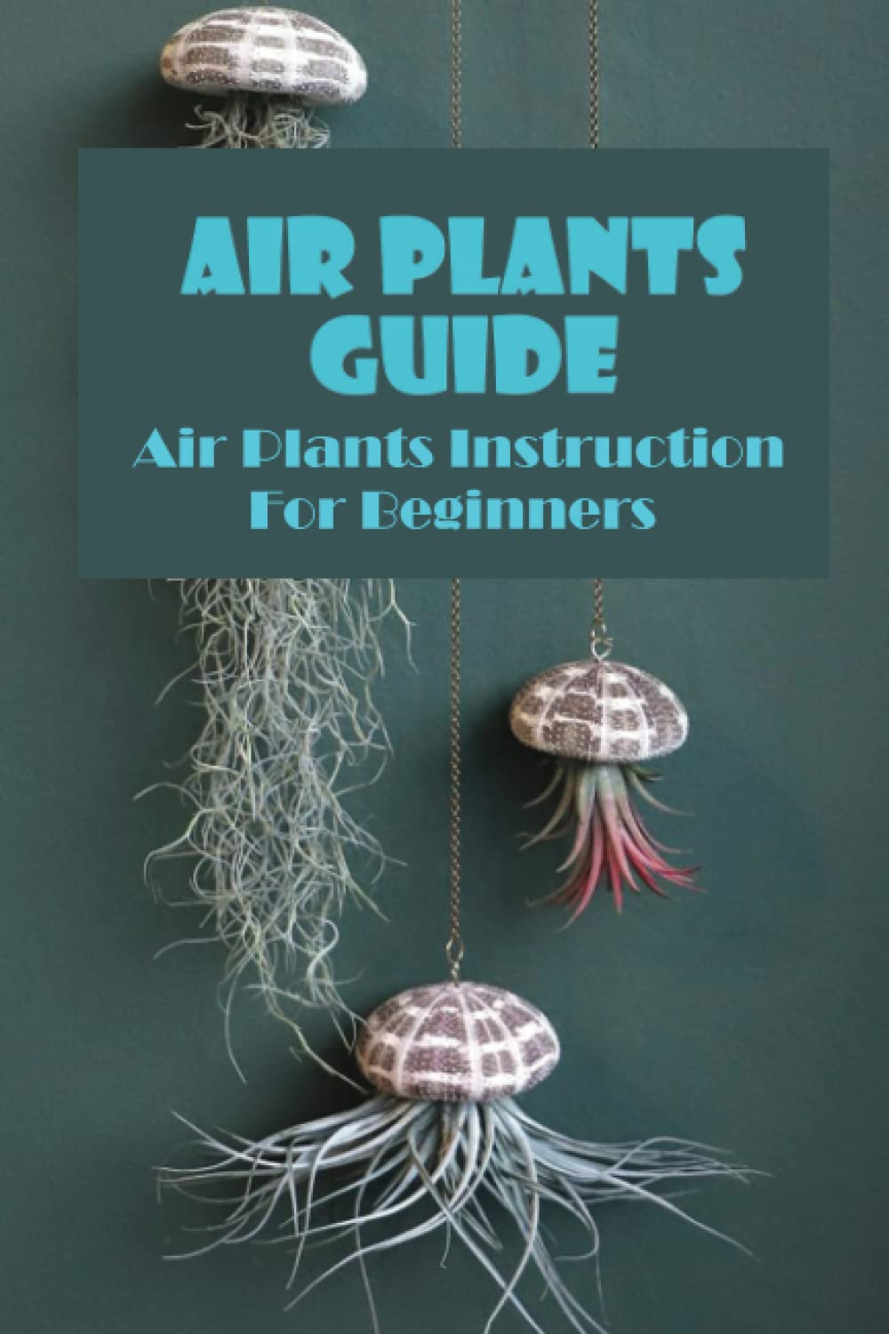 Air Plants Guide: Air Plants Instruction For Beginners