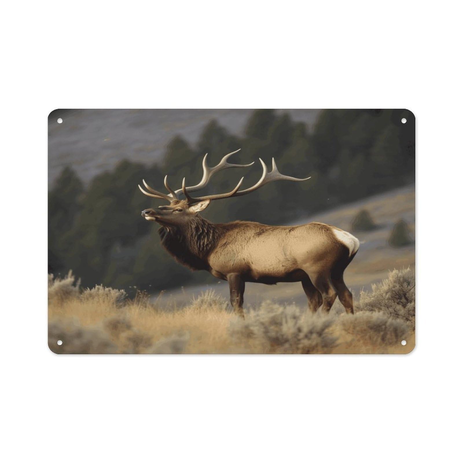 VstaDank Vintage Metal Sign Sublimation Aluminum Bull Elk Plaque Sign Weatherproof Art Decorative Wall Plate Boho Aluminum Wall Hanging Decor Retro Poster Plaque 8x12in