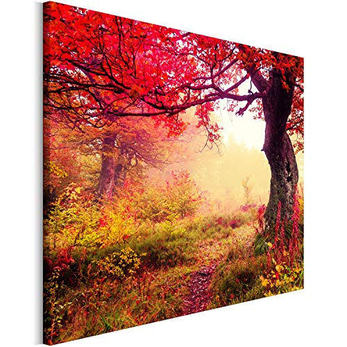 Revolio 40x30 cm Impression sur Toile Murale Tableau Art Peinture Image Motif Moderne Décoration pour Le Salon Intérieur Photo - L'automne forêt des Arbres clairière Rouge Jaune