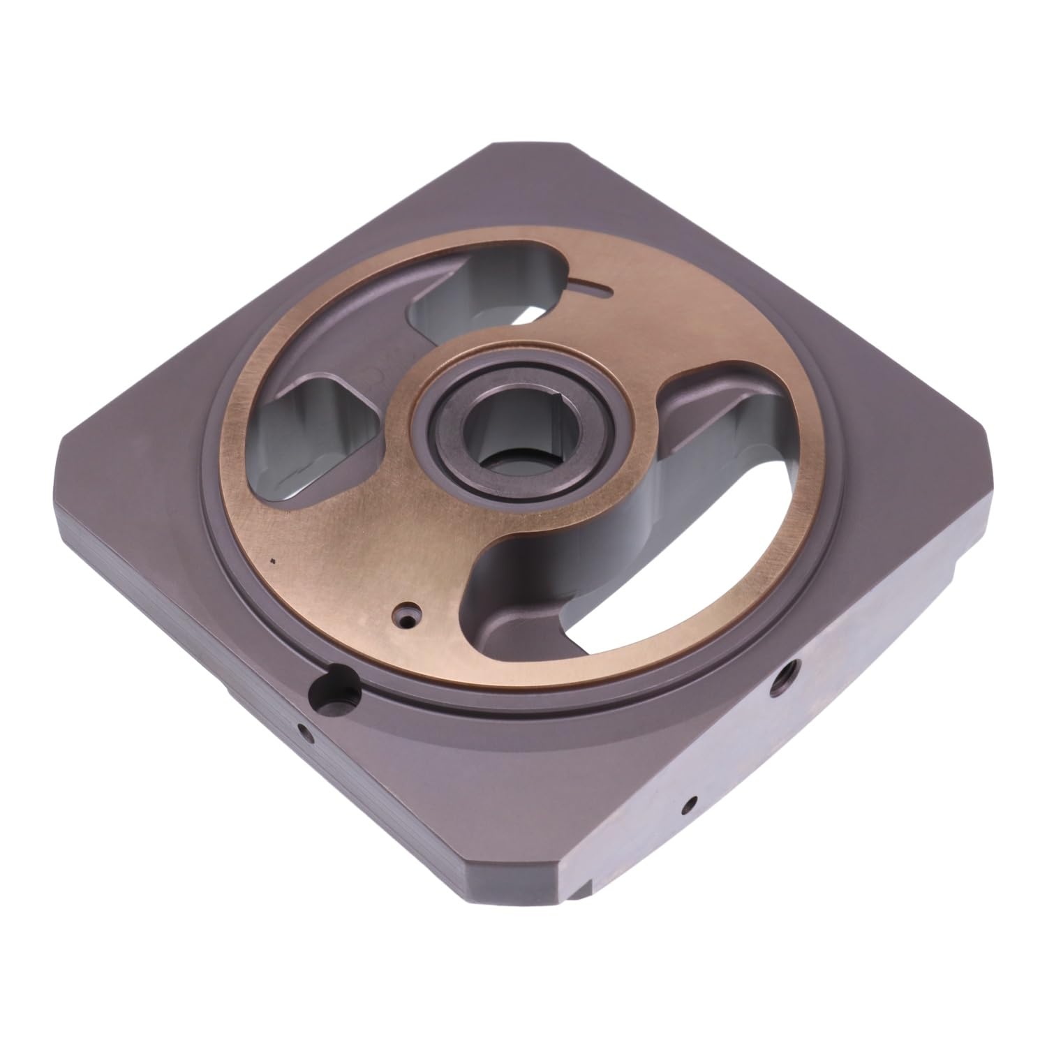 Amazon.com: WQSING Hydraulic Pump Valve Plate 9749142 Compatible