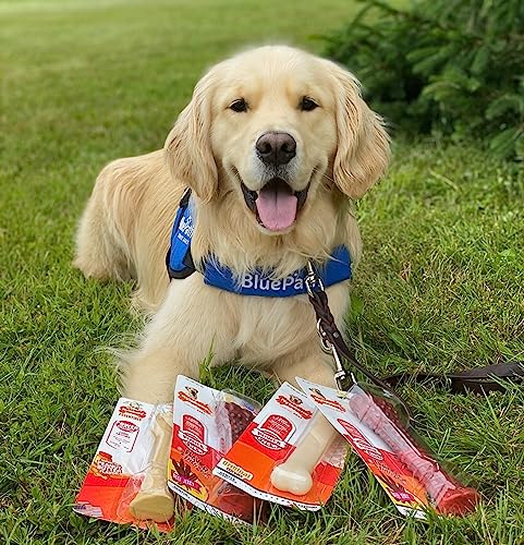 Image of Nylabone Power Chew Original Bone Dog Chew Toy, Original Flavor, Large | Durable chew toys, long lasting, flavor throughout, discourages destructive chewing, keeps dogs busy, for dogs up to 50 lbs