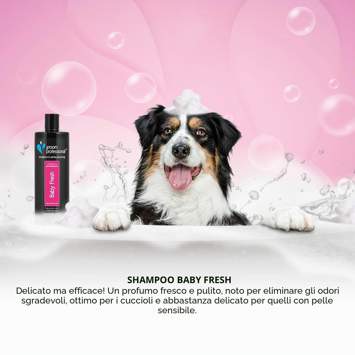 Groom Professional Baby Fresh Dog Shampoo (4 L) – Salon Size 20 : 1 Concentrate, Gentle Aloe Vera Formula, Deep Cleaning for Puppies or Sensitive Skin, Fresh Baby Powder Scent, Made in UK