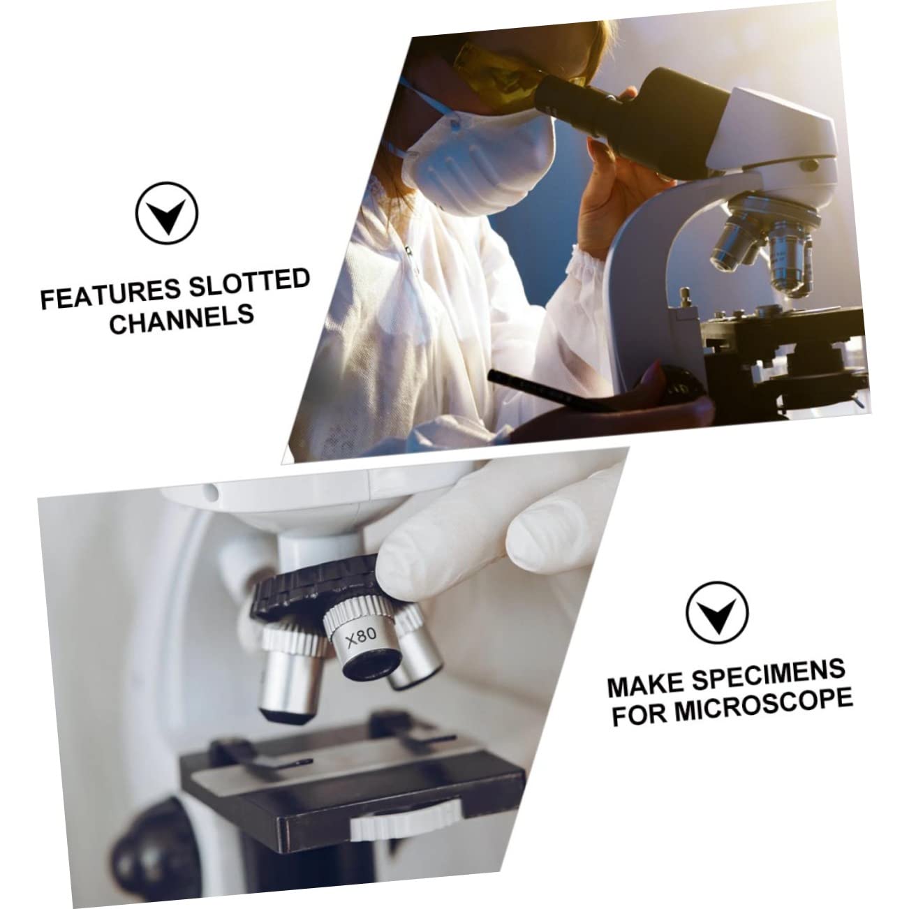 Mobestech Scatola Porta Diapositive Per Laboratorio 50 Slot in Polietilene Con a Fessura Per Conservazione Sicura E Facile Rimozione Di Vetrini Per Microscopio