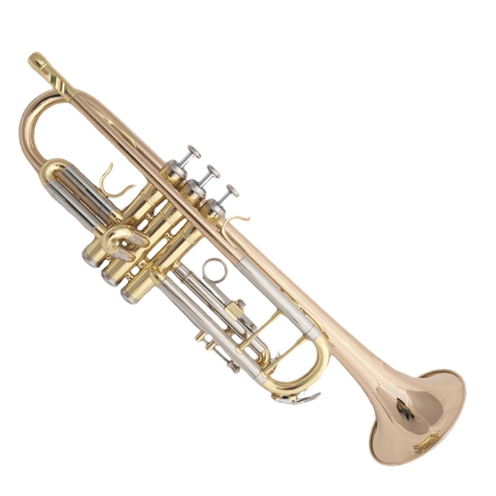 Trumpet Trompeta en si bemol principiante