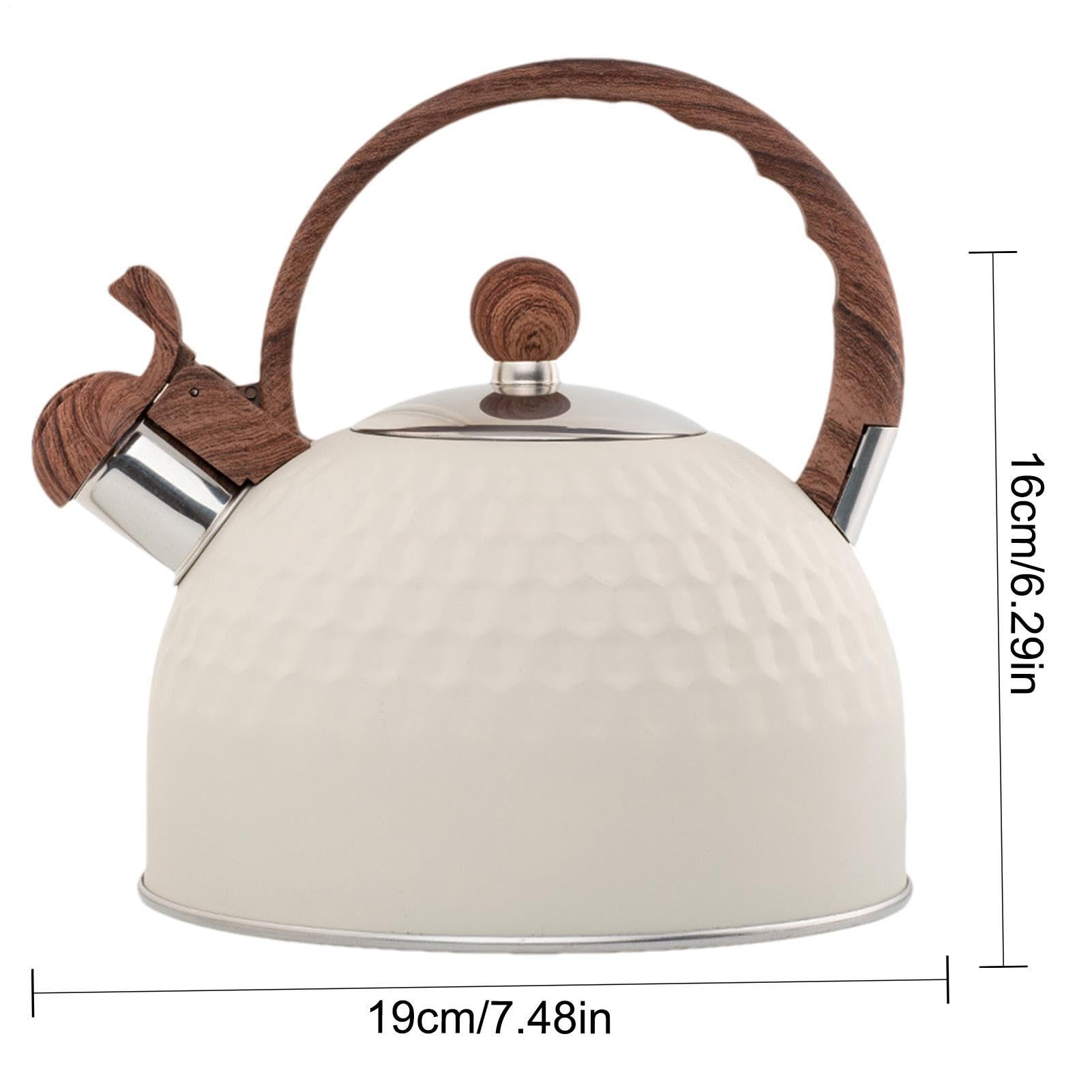 Bollitore a fischio, 2,5 litri, in acciaio , per casa, cucina, appartamento, picnic, campeggio, cortile, giardino, feste sul prato