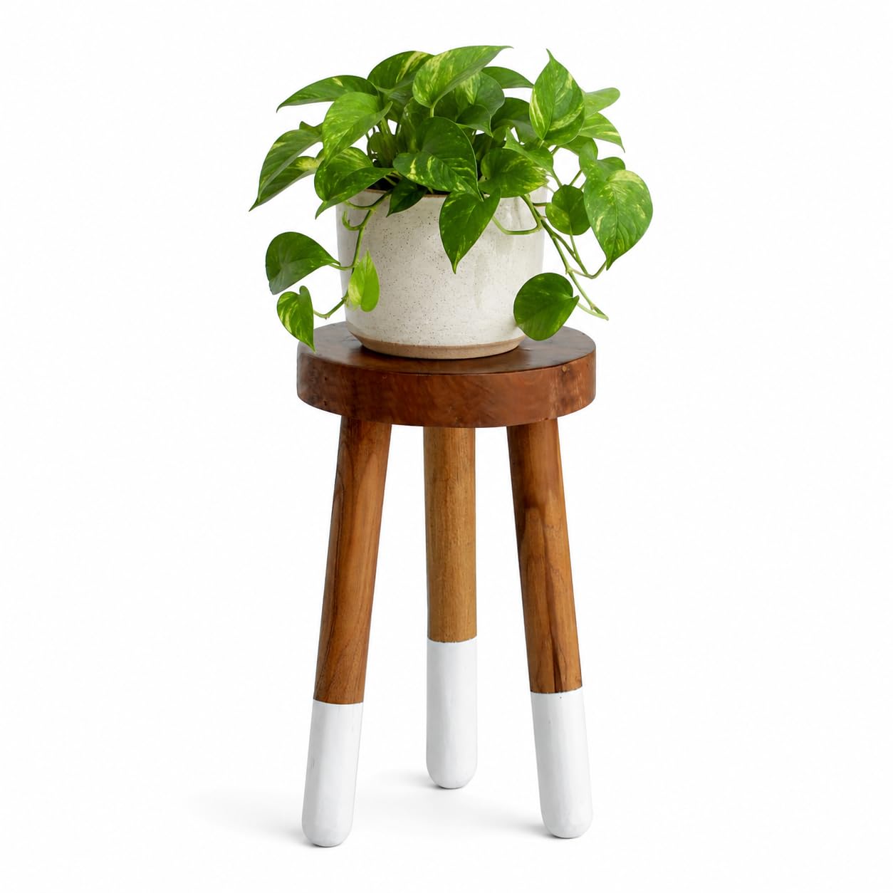 JOLLYMER Teak 11.8” Round Dip Dyed Teak Stool | Wood Accent Side Table | Wood Plant Stand (20" Tall)