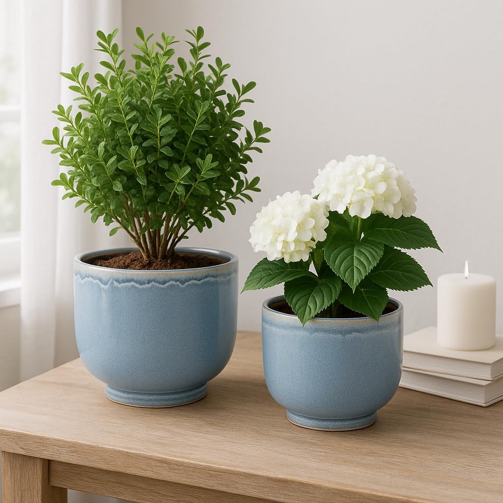 Home Decor Flower Pots and Planters – Plant Pots for Indoor and Outdoor Plant Pots for Herbs, Vines, or Succulents – Gradient Ceramic Planters That Refresh Any Space; Set of 2 – 8", 6" Blue