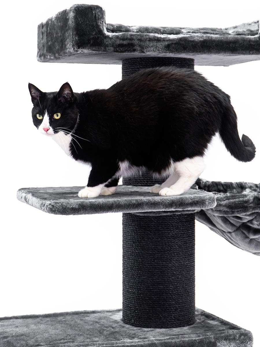 Petrebels Maine Coon Drapak XXL Ragdoll 179 cm XXL Drapak dla dużych kotów, kolor czarny