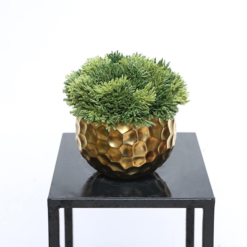 Árbol bonsái Artificial pequeño, simulación de bonsái, hoja de tuya, planta Verde, Dispositivo de Flores doradas, hogar, Sala de estar, oficina, escritorio, adornos pequeños en Mac