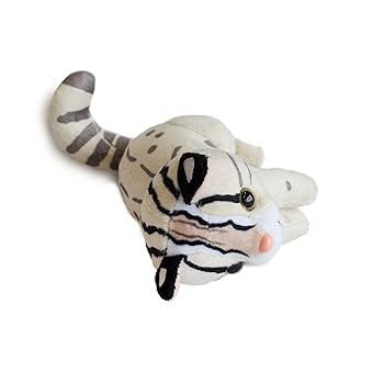 Amazon.co.jp: AQUA ぬいぐるみ サファリ ツシマヤマネコ