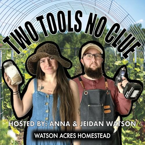 Two Tools, No Clue Podcast Por Jey & Anna arte de portada