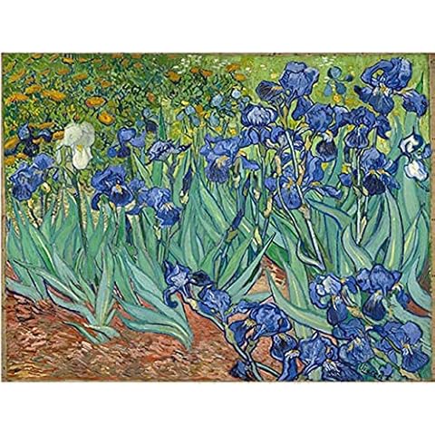 WOWDECOR DIY Painting by Numbers Kits Van Gogh Irises Flowers 40x50cm Arts and Craft Paint Kits (Flowers, No Frame) Cover