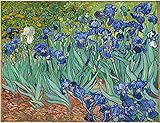 WOWDECOR DIY Painting by Numbers Kits Van Gogh Irises Flowers 40x50cm Arts and Craft Paint Kits (Flowers, Framed)