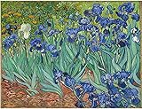 Wowdecor Paint by Numbers for Adults Beginner Kids, Number Painting - Van Gogh Iris Flowers 40x50 cm - Wall Art Gifts (Flowers, Framed)