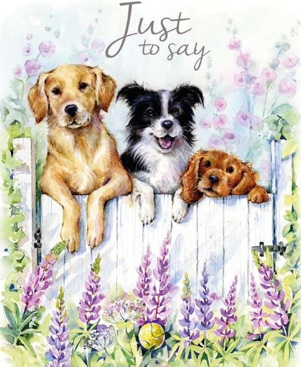 Noel Tatt Pack of 4 Open Artistic Blank Greeting Cards 'Just to Say