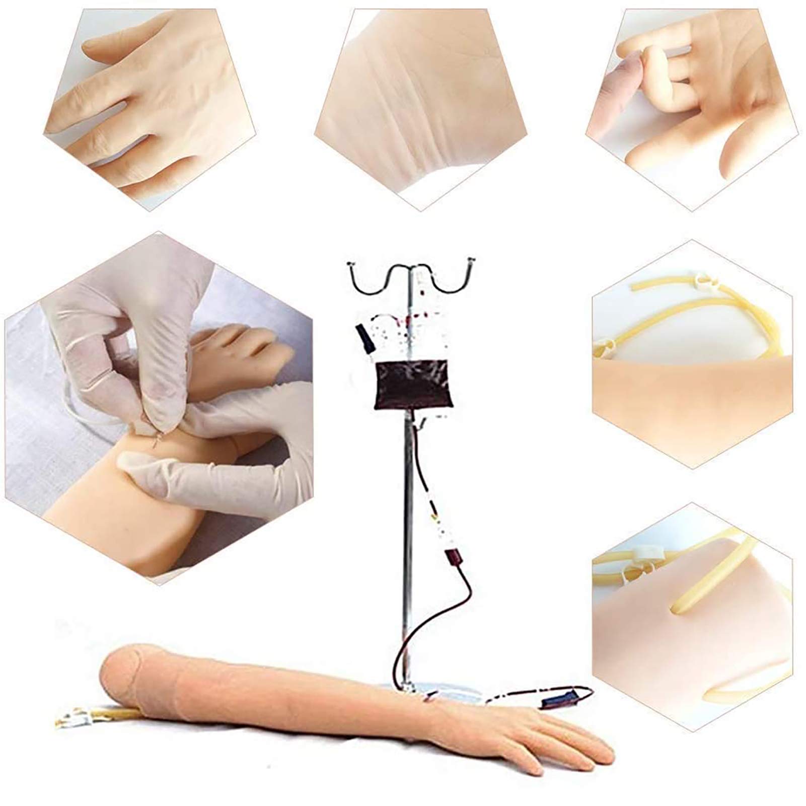 N A Venipuncture Training Model, Phlebotomy and Venipuncture Practice