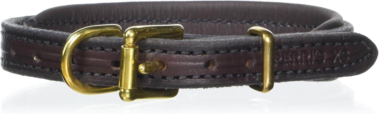 Perri's Padded Leather Dog Collars in Metallic and Bold Non-Metallic Colors